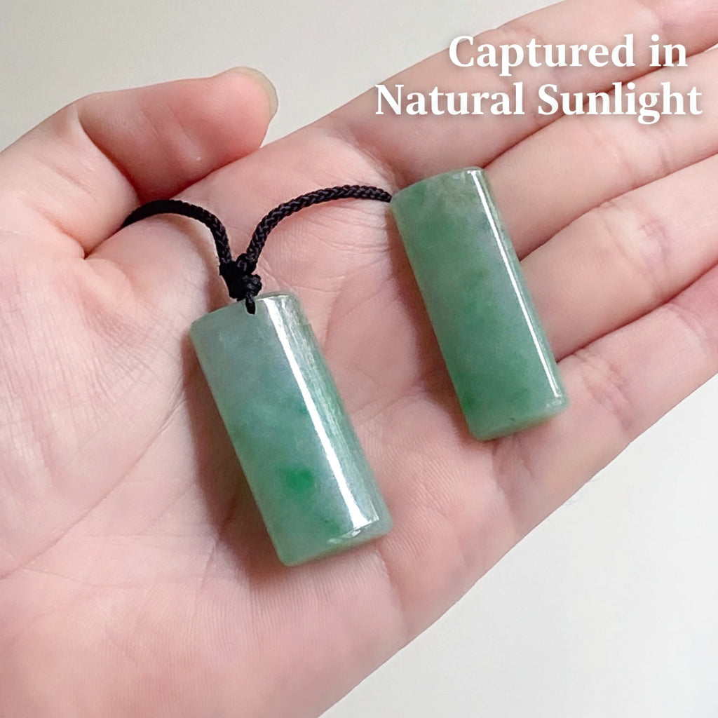 Captured in Natural Sunlight